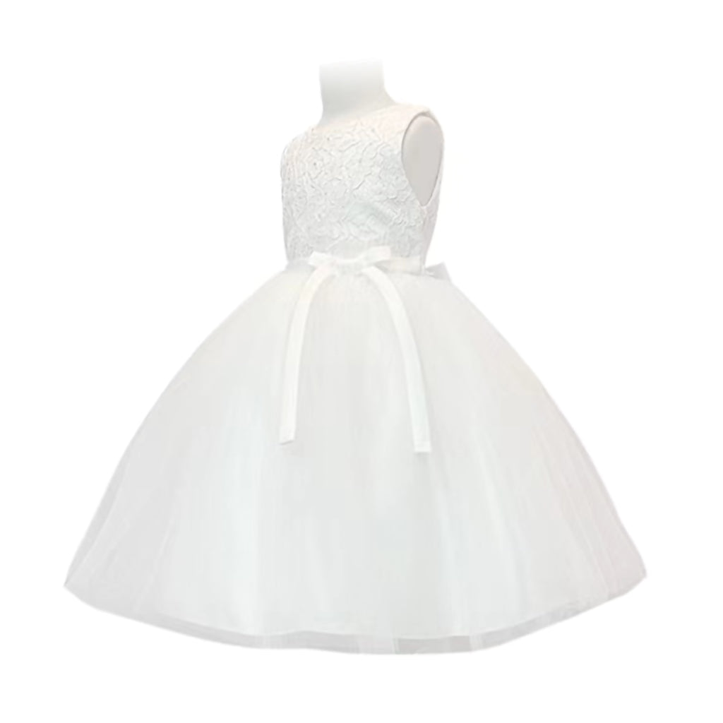 Elegance Lace Dress in Ivory