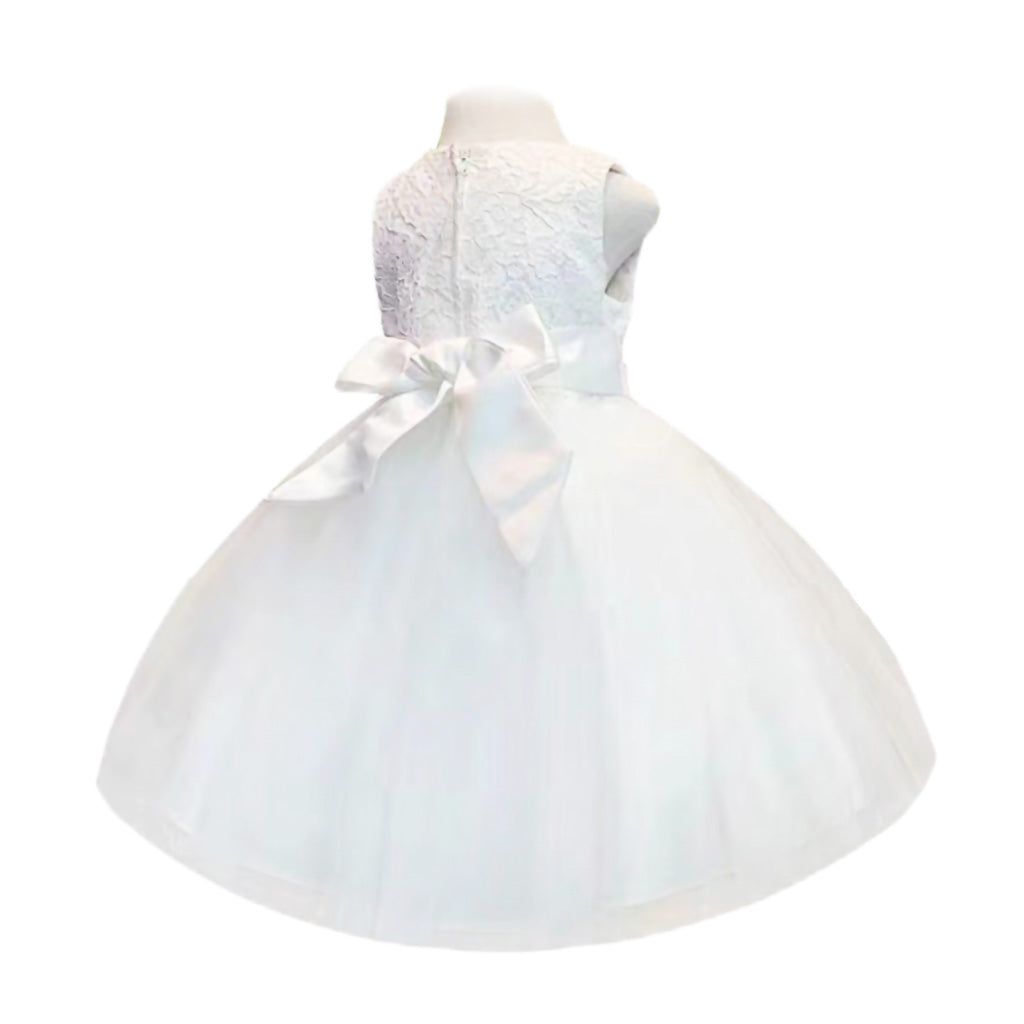 Elegance Lace Dress in Ivory