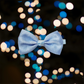 Sweet Bow Hair Clip (Blue)