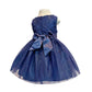 Elegance Lace Dress in Navy