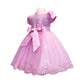 Girls Sweet Embroidered Dress in Pink
